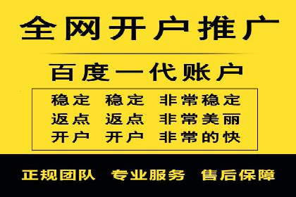 竞价广告与自然搜索的结合策略：XX网站的案例分析